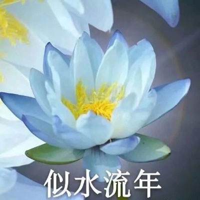 传奇西游无敌版手机下载